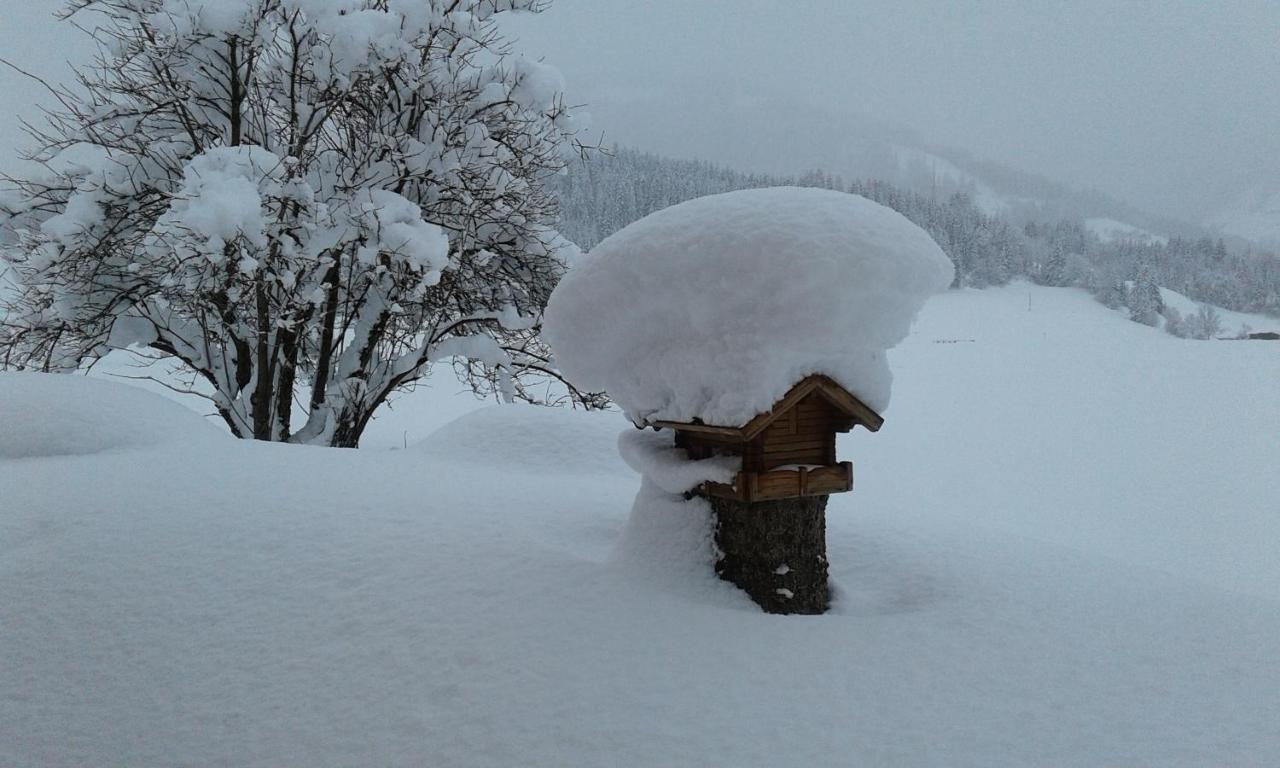 Appartamento Haus Kirchner Flachau Esterno foto